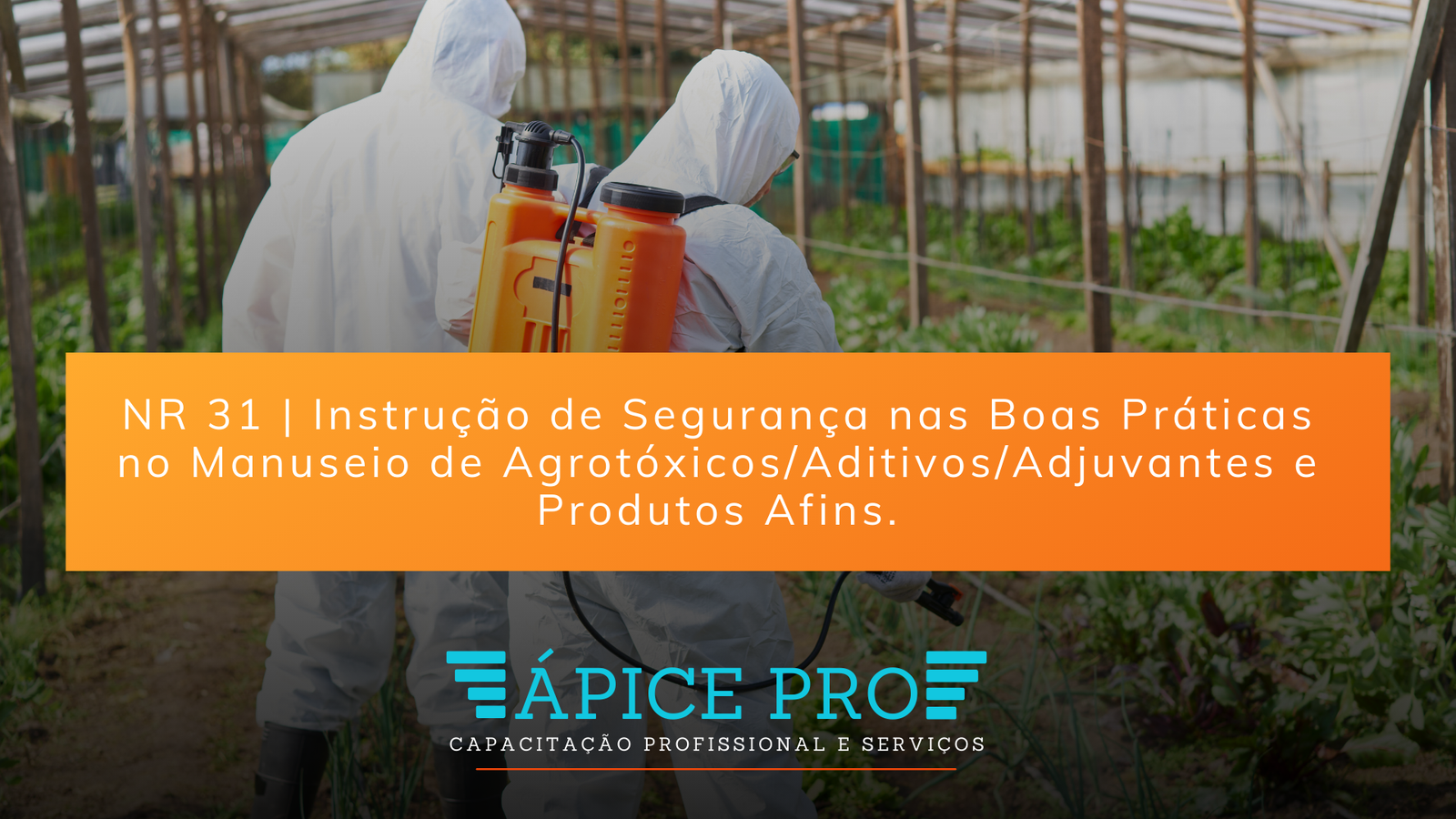 NR 31 Instrução de Segurança nas Boas Práticas no Manuseio de Agrotóxicos/Aditivos/Adjuvantes e Produtos Afins.